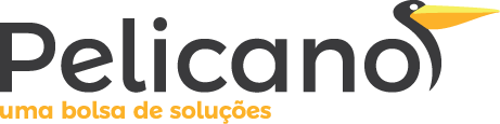 ACCUEIL | Pelicano Solutions